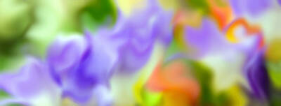 Abstract Flowers Rights Managed Images - Flowing With Life 15 Royalty-Free Image by Angelina Tamez