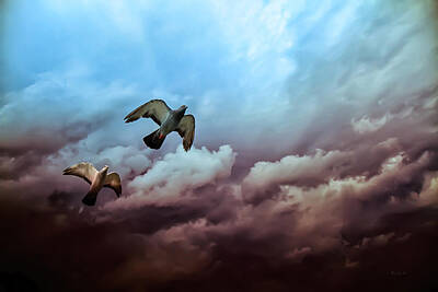 Birds Photos - Flying before the storm by Bob Orsillo