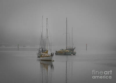 Cultural Textures - Foggy Morro Bay by Mitch Shindelbower