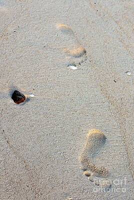 Womens Empowerment Rights Managed Images - Footprints in the Sand Royalty-Free Image by Lilliana Mendez