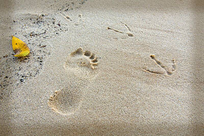 Colorful Abstract Animals - Footprints in the Sand by Melinda Fawver