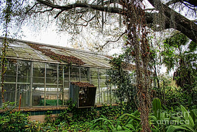 State Pop Art - Forgotten Greenhouse by Kristy Ollis