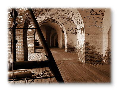 Wild Horse Paintings - Fort Pulaski Arches Sepia by Jacqueline M Lewis