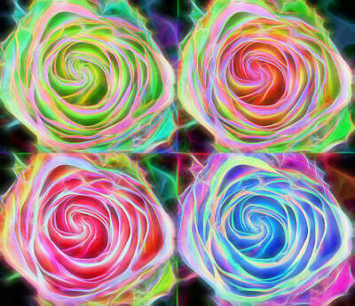 James Bo Insogna Royalty-Free and Rights-Managed Images - Four Colorful Electrify Roses by James BO Insogna