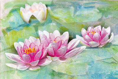 Lilies Royalty-Free and Rights-Managed Images - Four Pink Water Lilies by Rebecca Cozart
