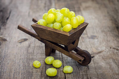 Wine Photos - Fresh Green Grapes in a wheelbarrow by Aged Pixel