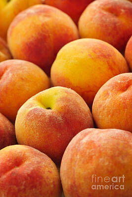 Food And Beverage Rights Managed Images - Freshness of peaches Royalty-Free Image by Elena Elisseeva