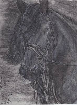 Drawings Rights Managed Images - Friesian Love Royalty-Free Image by Laurietta Oakleaf