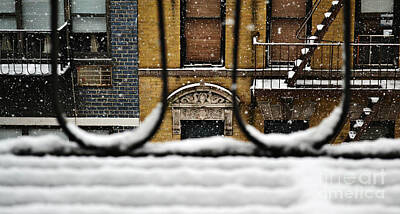 Monets Water Lilies - From My Fire Escape - Arches in the Snow by Miriam Danar