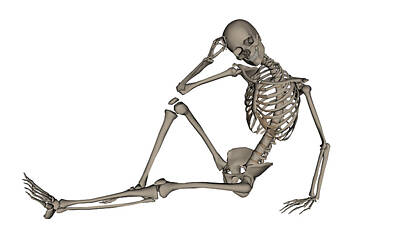 Royalty Free Images - Front View Of A Human Skeleton Posing Royalty-Free Image by Elena Duvernay