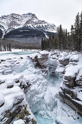 Just In The Nick Of Time - Frozen Athabasca Falls by Rhonda Krause