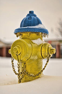 Too Cute For Words - Frozen Fire Hydrant by Brett Engle