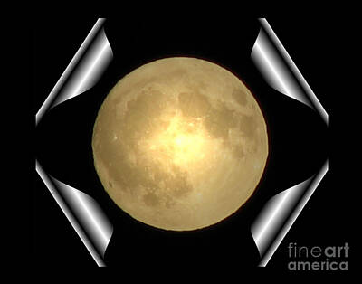 Roses Royalty-Free and Rights-Managed Images - Full Moon Unfolding by Rose Santuci-Sofranko
