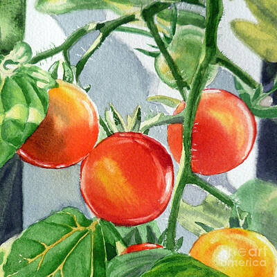 Mellow Yellow Rights Managed Images - Garden Cherry Tomatoes  Royalty-Free Image by Irina Sztukowski