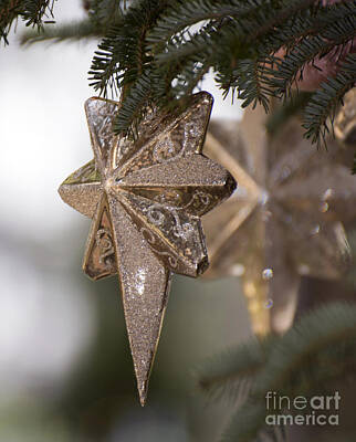 Light Abstractions - Gold Star Christmas Tree Ornament 2 of 2 by Terri Winkler