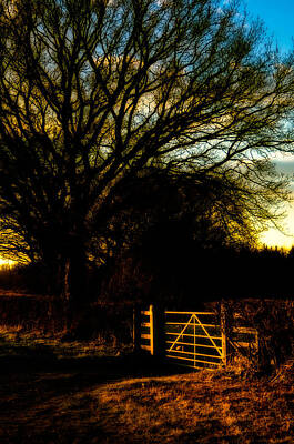 Mellow Yellow Rights Managed Images - Golden Gateway Royalty-Free Image by Mark Llewellyn