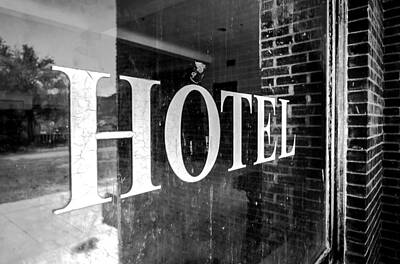 Mammals Royalty-Free and Rights-Managed Images - Goldfield Hotel Window by Cat Connor