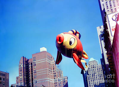 Farm Life Paintings Rob Moline - Goldfish at Macys Thanksgiving Day Parade by Wernher Krutein