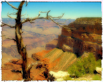 Rose Rights Managed Images - Grand Canyon Polaroid Royalty-Free Image by Wayne Wood