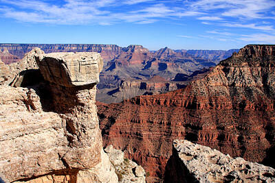 Wine Beer And Alcohol Patents - Grand Canyon - South Rim View by Aidan Moran