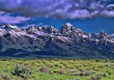 Reptiles Photo Royalty Free Images - Grand Tetons Royalty-Free Image by Allen Beatty