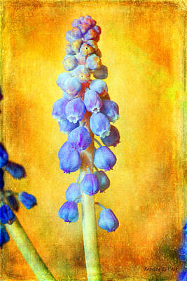 Namaste With Pixels - Grape Hyacinth by Bellesouth Studio