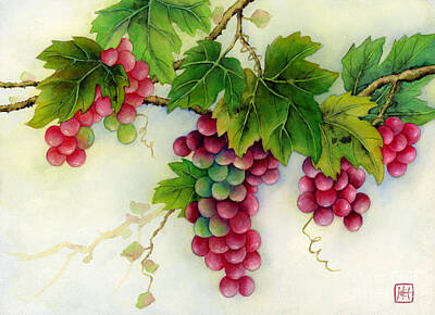Royalty-Free and Rights-Managed Images - Grapes by Hailey E Herrera