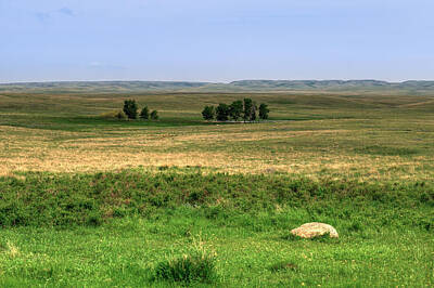 Science Collection Rights Managed Images - Grasslands National Park Royalty-Free Image by Brandon Smith