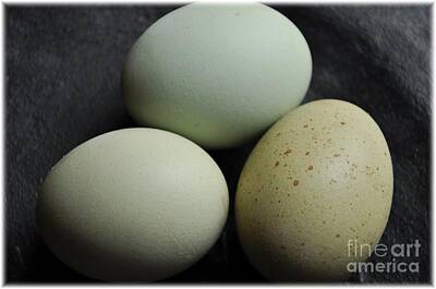 Food And Beverage Photos - Green Eggs by Cheryl Baxter