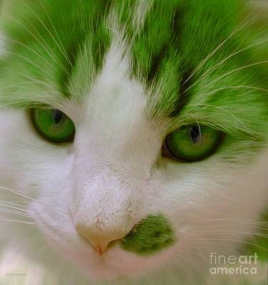 For The Cat Person Royalty Free Images - Green Kitten Royalty-Free Image by Anita Lewis
