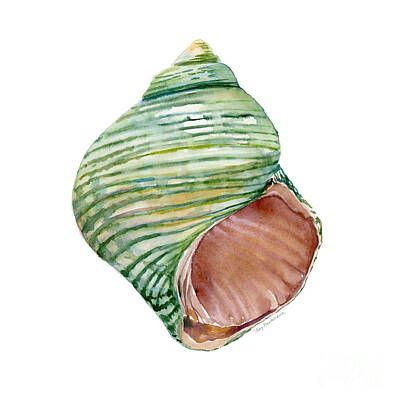 Abstract Stripe Patterns - Green Turbo Shell by Amy Kirkpatrick