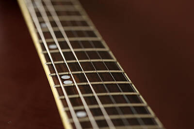 Rock And Roll Photos - Guitar Neck by Karol Livote