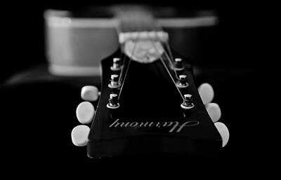 Rock And Roll Photos - Harmony Strings Black And White by Athena Mckinzie