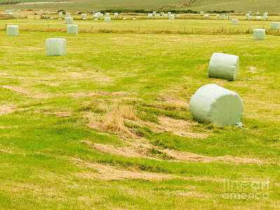 Female Outdoors - Harvesting cut grass for hay plastic wrapped bales by Stephan Pietzko