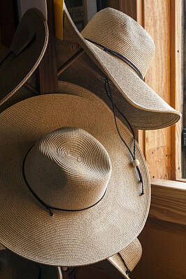 Rustic Cabin - Hat Rack by Lynn Palmer