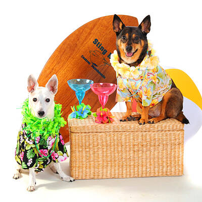 Best Sellers - Martini Royalty-Free and Rights-Managed Images - Hawaiian Party Surf Dogs by Rebecca Brittain