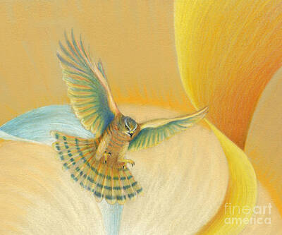 Birds Drawings - Hawk Above by Robin Aisha Landsong