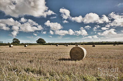 The Female Body Royalty Free Images - Hay Bales 1 Royalty-Free Image by Steve Purnell