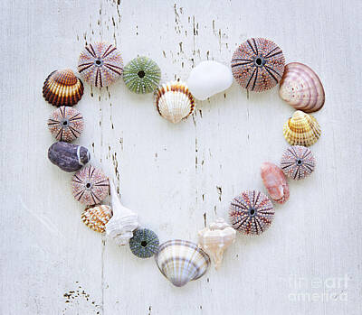 Quotes And Sayings - Heart of seashells and rocks by Elena Elisseeva