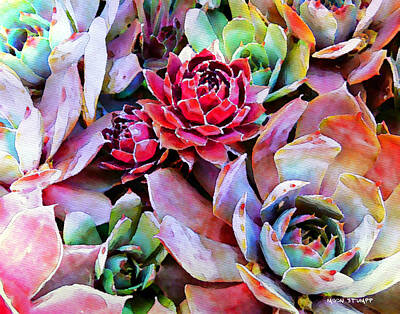 Florals Royalty Free Images - Hens and Chicks series - Copper Tarnish  Royalty-Free Image by Moon Stumpp