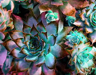 Abstract Flowers Photos - Hens and Chicks series - Verdigris by Moon Stumpp