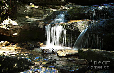 Abstracts Diane Ludet - Hidden Falls - Hanging Rock State Park North Carolina by Nancy Stein