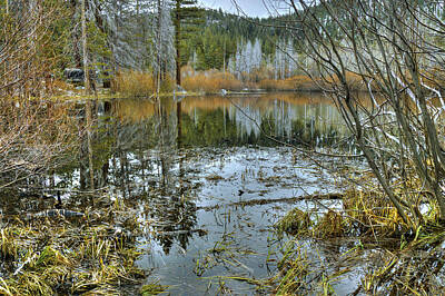 Stock Photography - Hidden Pond by Dianne Phelps