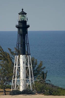 Animals Photos - Hillsboro Inlet Lighthouse Vertical by Michael Wolf