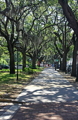 Ethereal Royalty Free Images - Historical Savannah Royalty-Free Image by James Connor