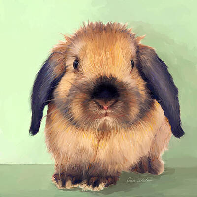 Recently Sold - Portraits Paintings - Holland Lop by Portraits By NC