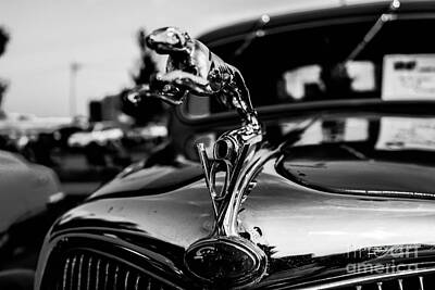 All You Need Is Love Royalty Free Images - Hood Ornament Royalty-Free Image by Keith Russell