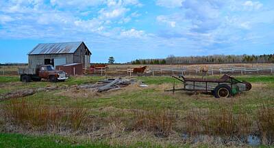 Garden Vegetables - Horse Farm U.P. Style - Chippewa County - Michigan by Mikel Classen
