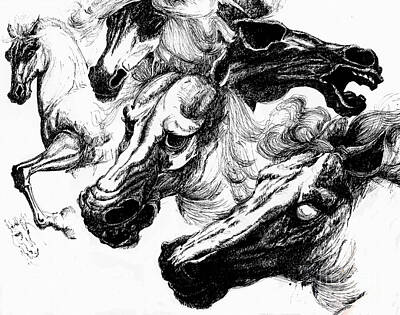 Animals Drawings - Horse ink drawing  by Daliana Pacuraru