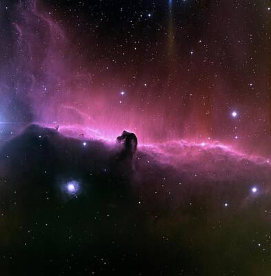 Science Fiction Paintings - horsehead nebula IC434 by Celestial Images